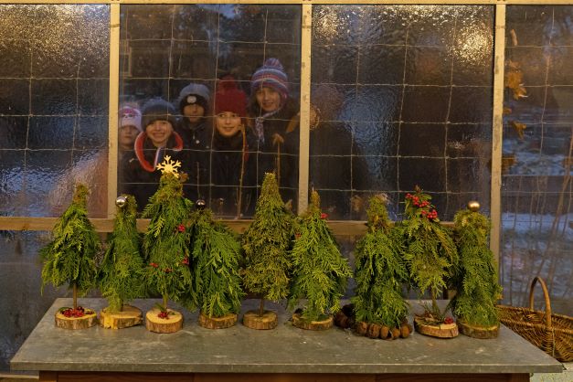 miniGrtner_Tannenbaeume_klein_Dez 2022.jpg